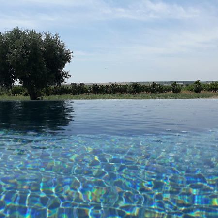 Terras - Agroturismo & Vinhos Бежа Экстерьер фото