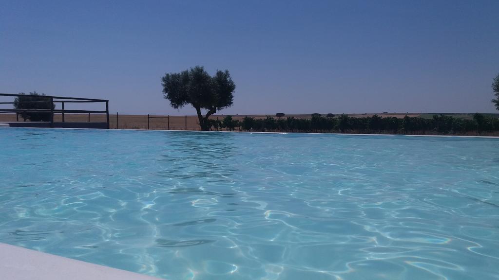Terras - Agroturismo & Vinhos Бежа Экстерьер фото