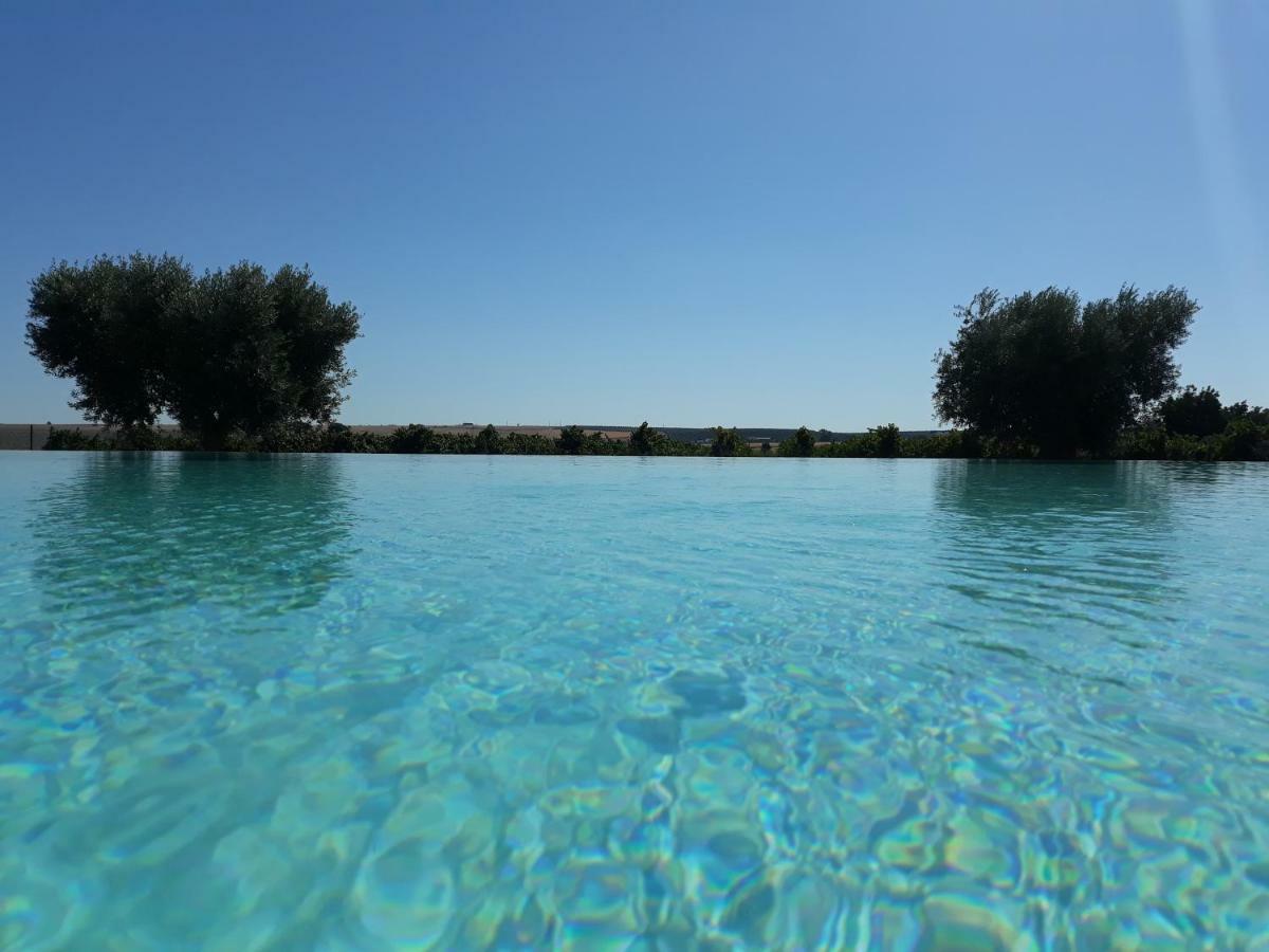 Terras - Agroturismo & Vinhos Бежа Экстерьер фото
