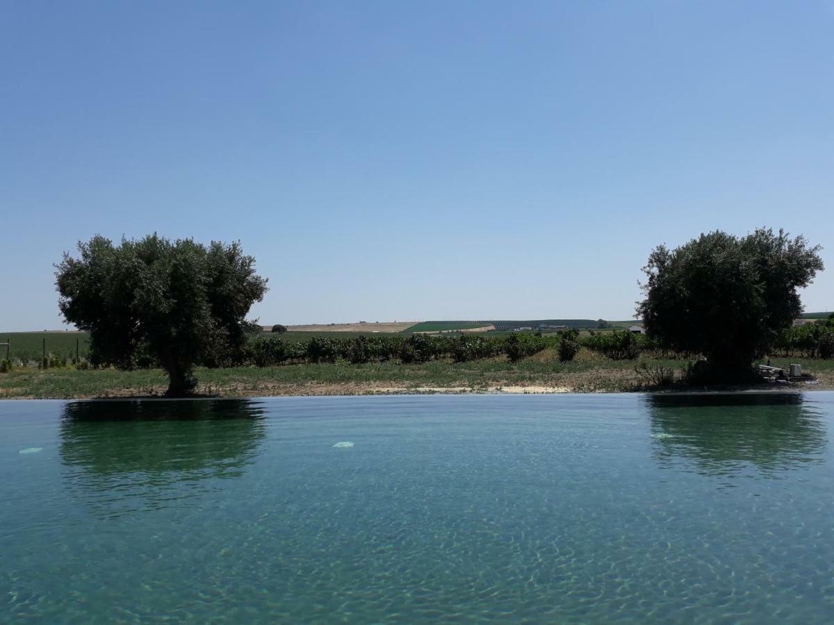 Terras - Agroturismo & Vinhos Бежа Экстерьер фото